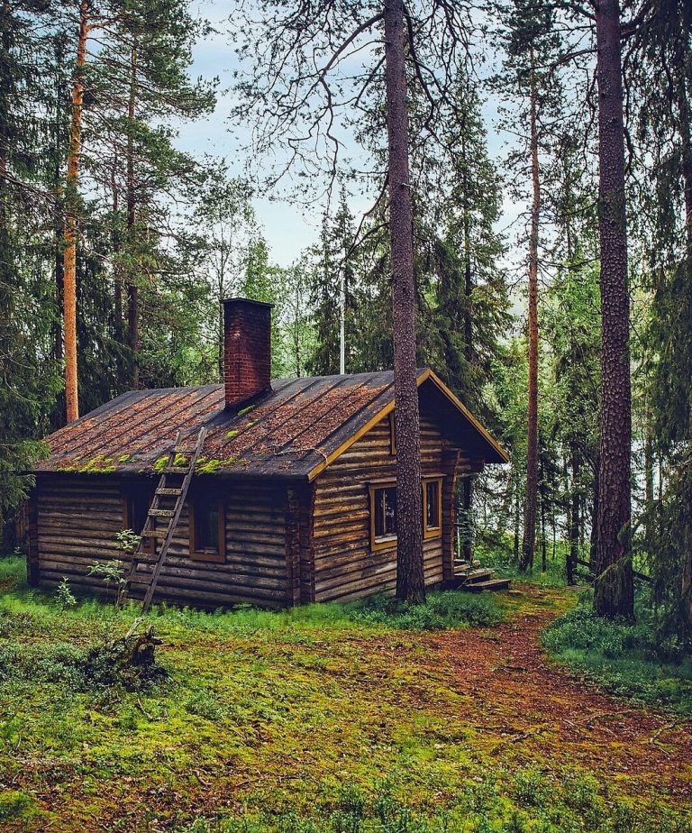 Fotos De Caba As O Casas De Campo Estilo Americano Casas Rusticas