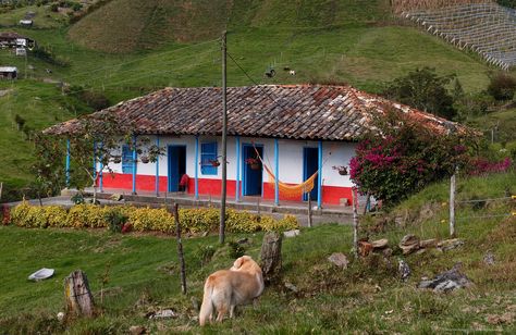 12 viviendas tradicionales del campo - Casas Rusticas